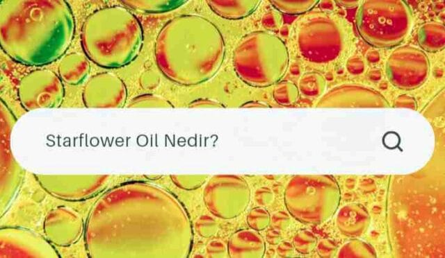 Starflower Oil Nedir? Starflower Yağı Faydaları Nelerdir?