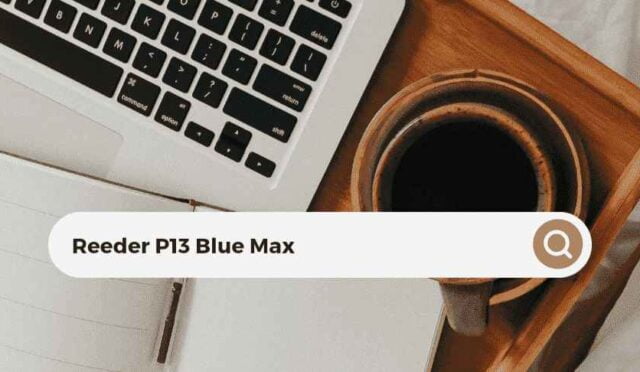 Reeder P13 Blue Max İle Her Şey Senin Elinde