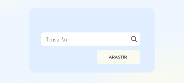 Çanakkale Gezilecek Yerler 7 Truva atı