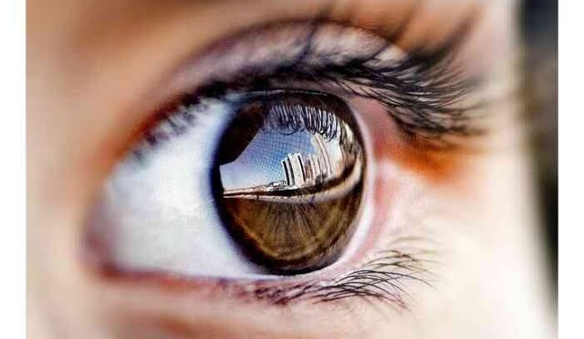 8 Temel Duyu Organımız Nedir? 5 Duyu Nedir? 14 img_20240525_113601_optimized